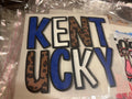 Cheetah print Kentucky