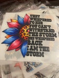 I am the storm