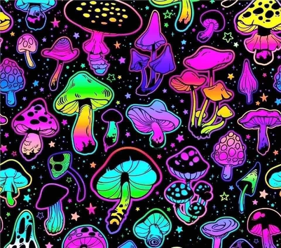 Mushroom